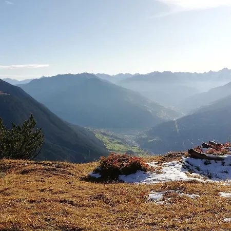 فيرينفونينغ لايتنر *