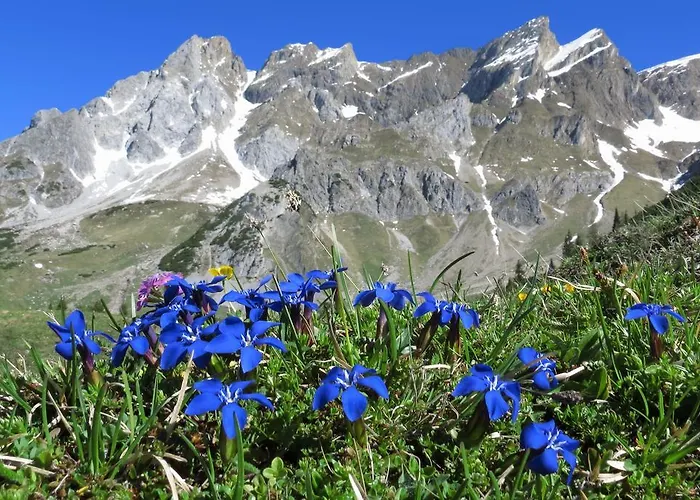 شقة فيرينفونينغ لايتنر