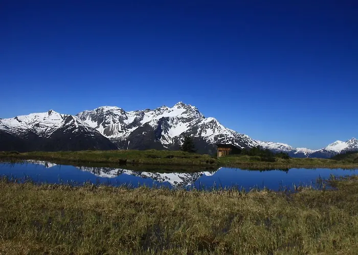 فيرينفونينغ لايتنر Grins