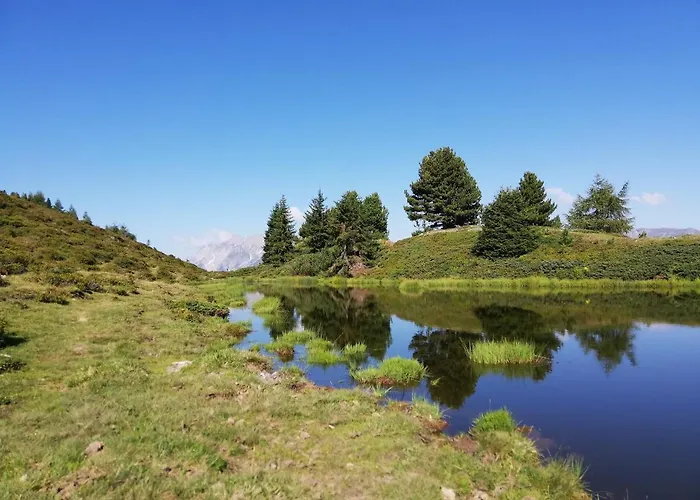 فيرينفونينغ لايتنر